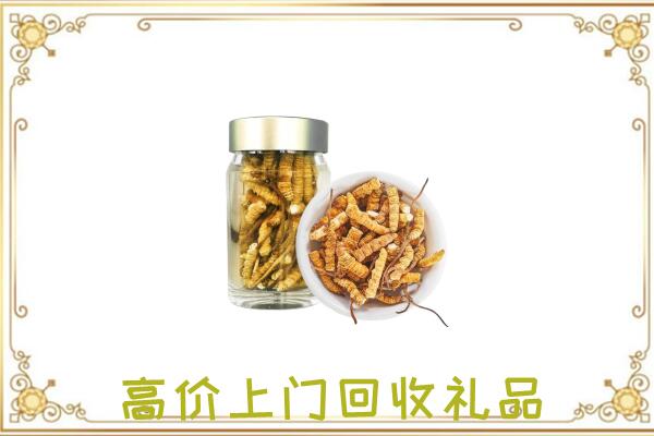 寻甸县周边回收虫草